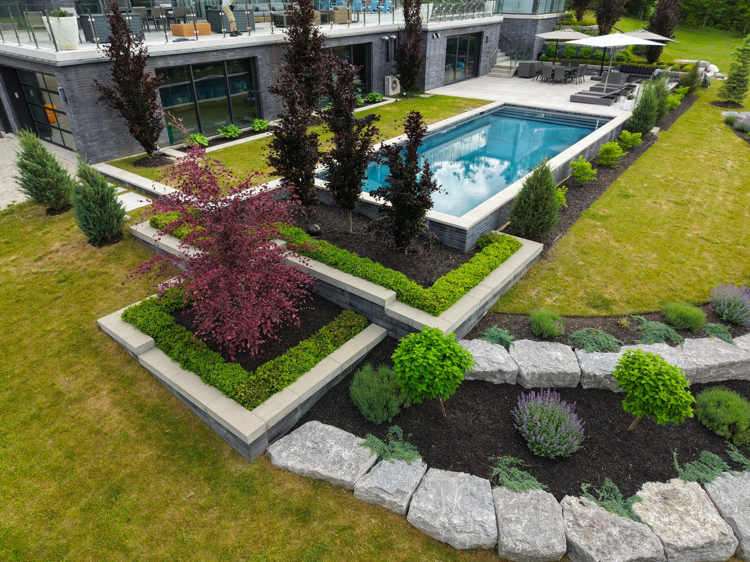 Modern backyard with rectangular pool and landscaped garden