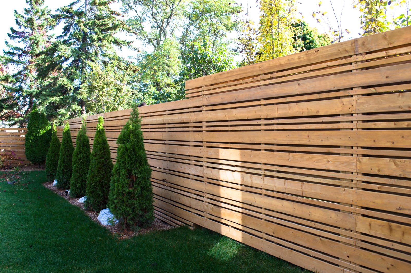 Modern wooden slat fence with evergreen trees