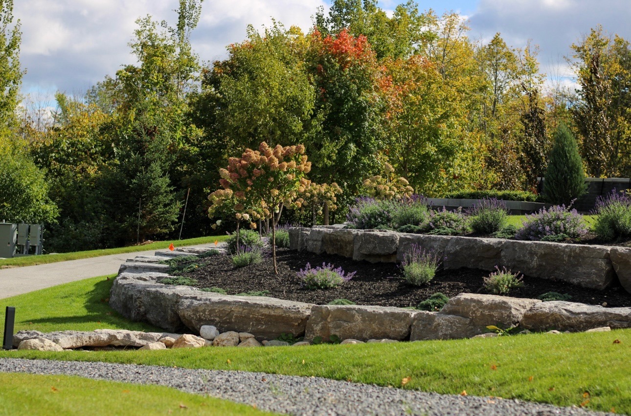 Tiered stone garden with shrubs and autumn trees