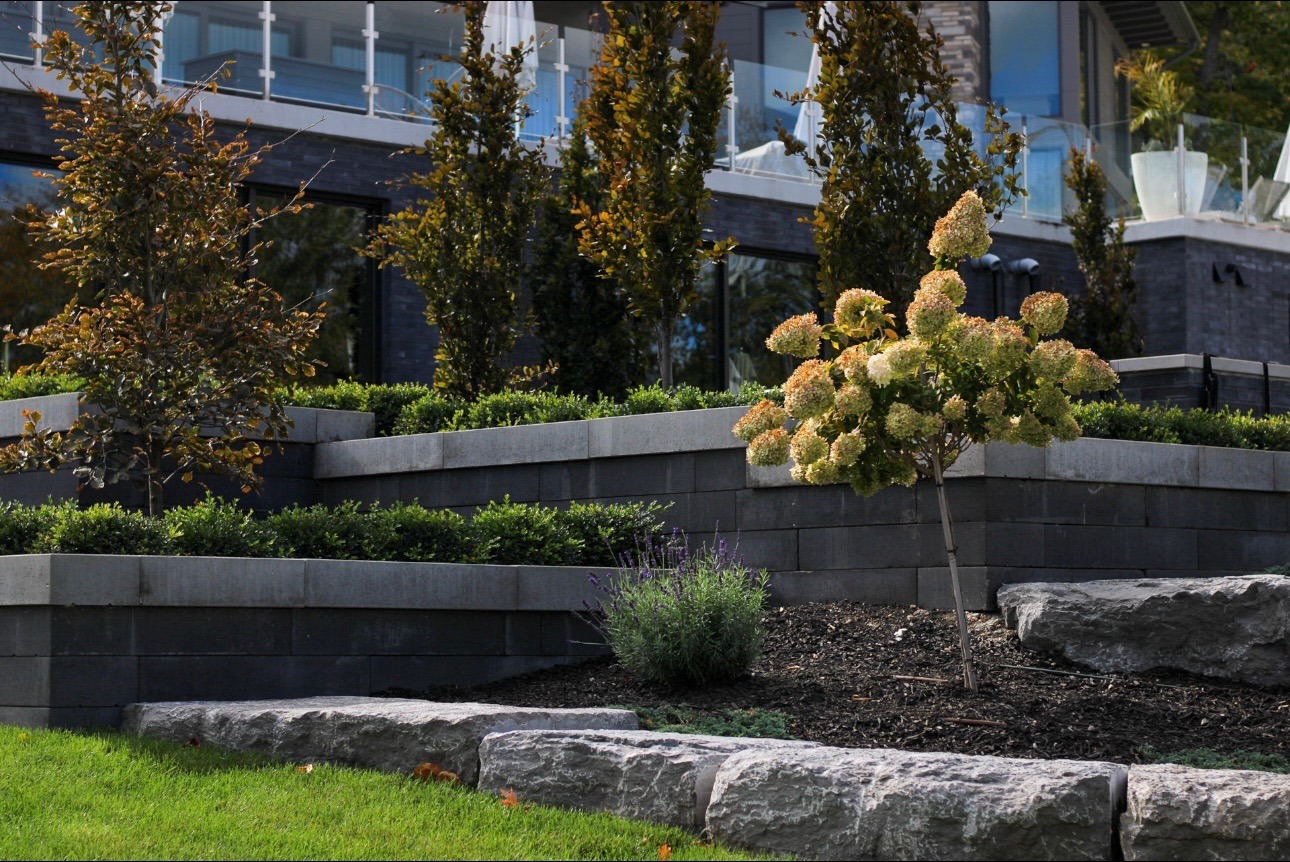 Modern landscaped yard with tiered retaining walls