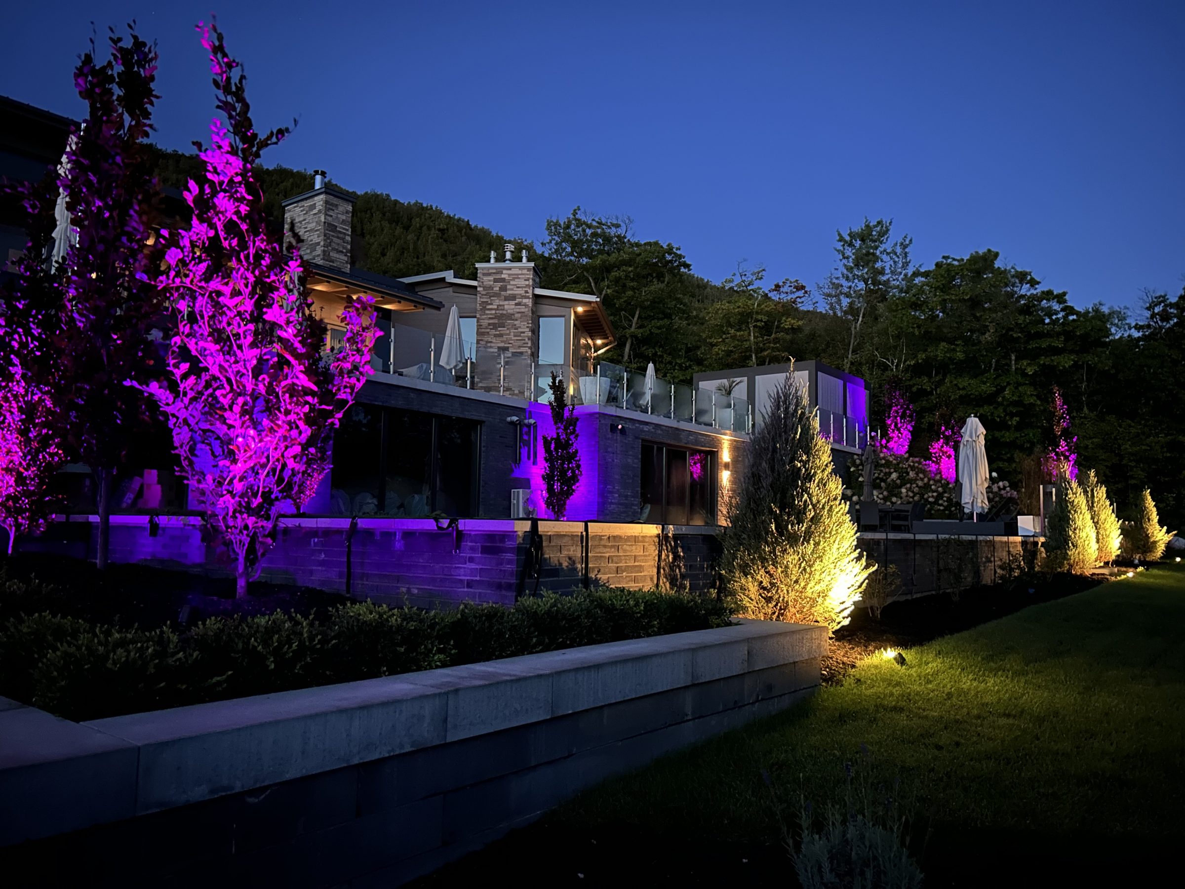Modern home with purple landscape lighting at dusk