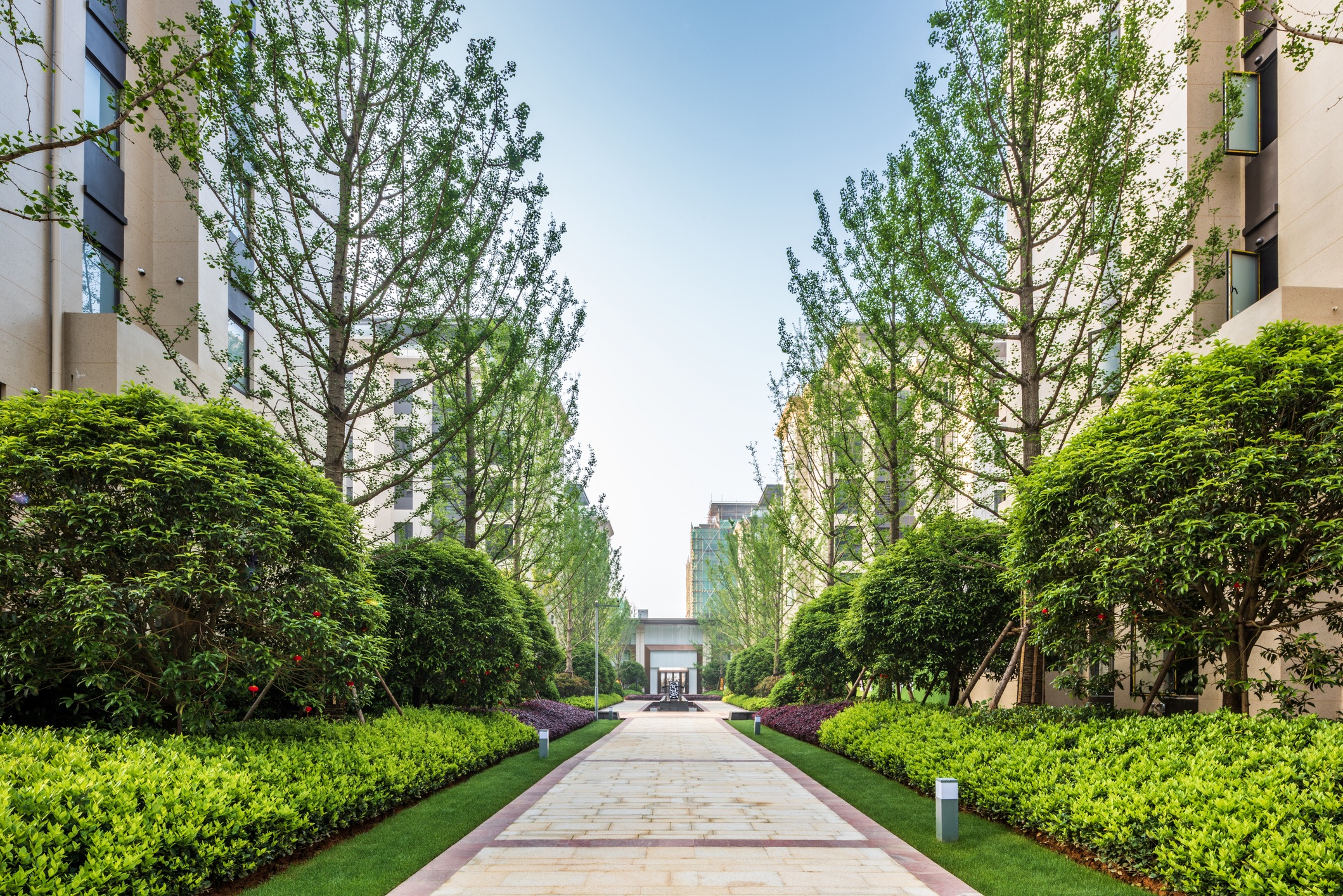 Landscaped walkway between modern apartment buildings