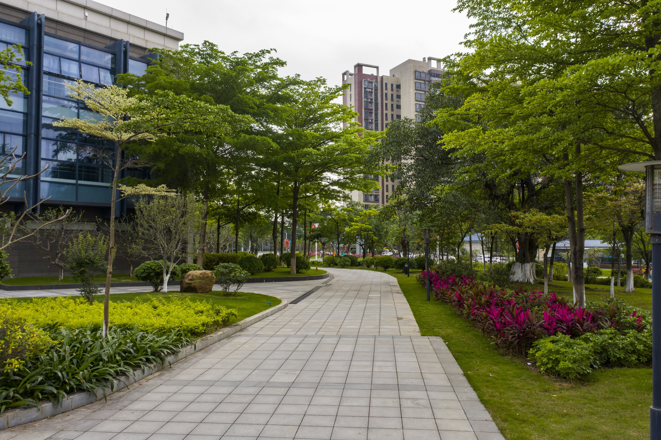 Tree-lined urban park walkway near modern buildings