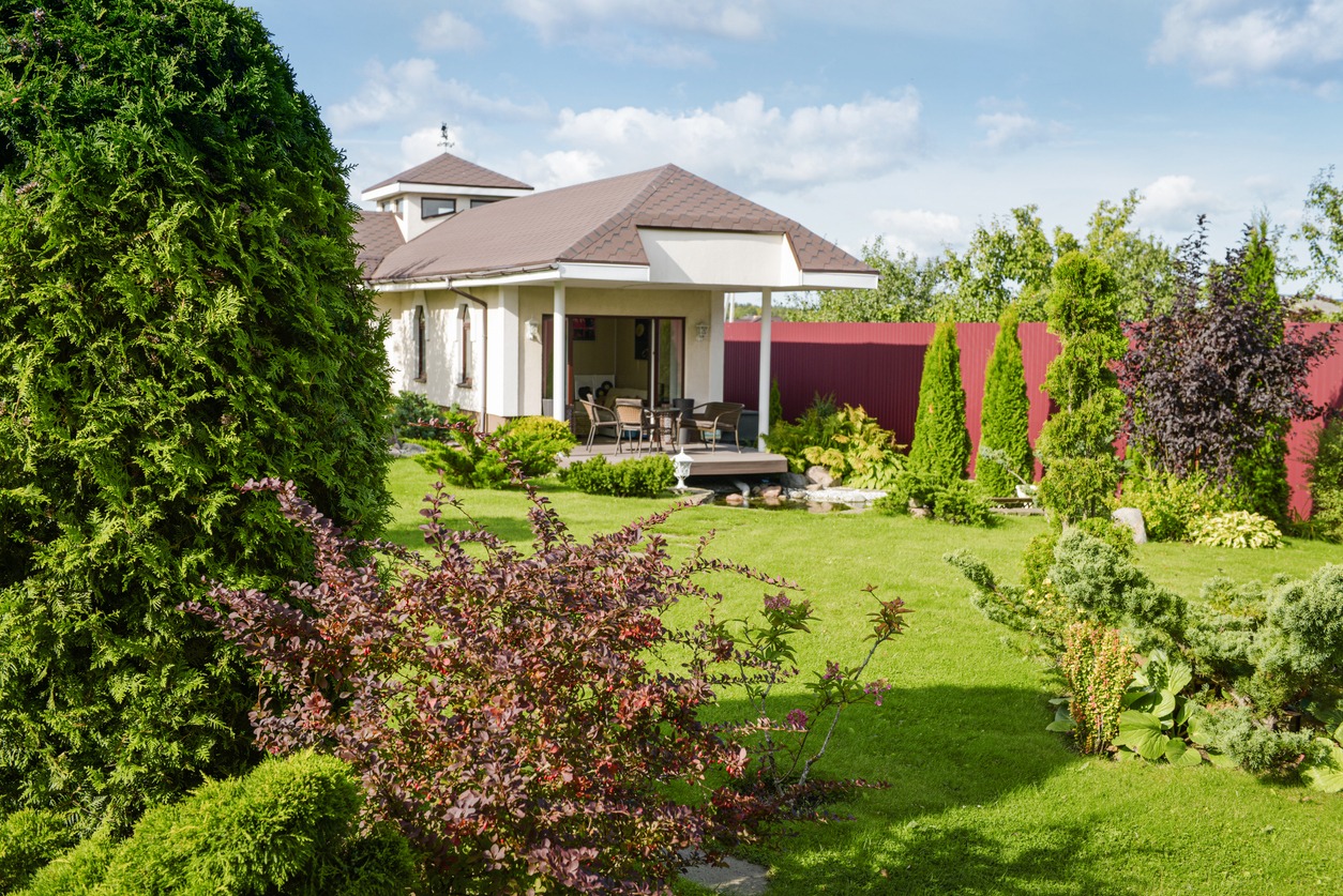 Modern house with landscaped garden and patio
