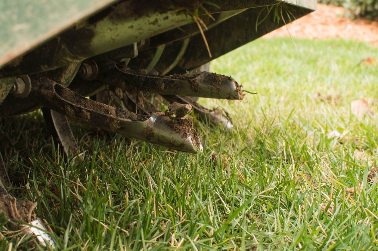 Close-up of lawn mower blades over grass