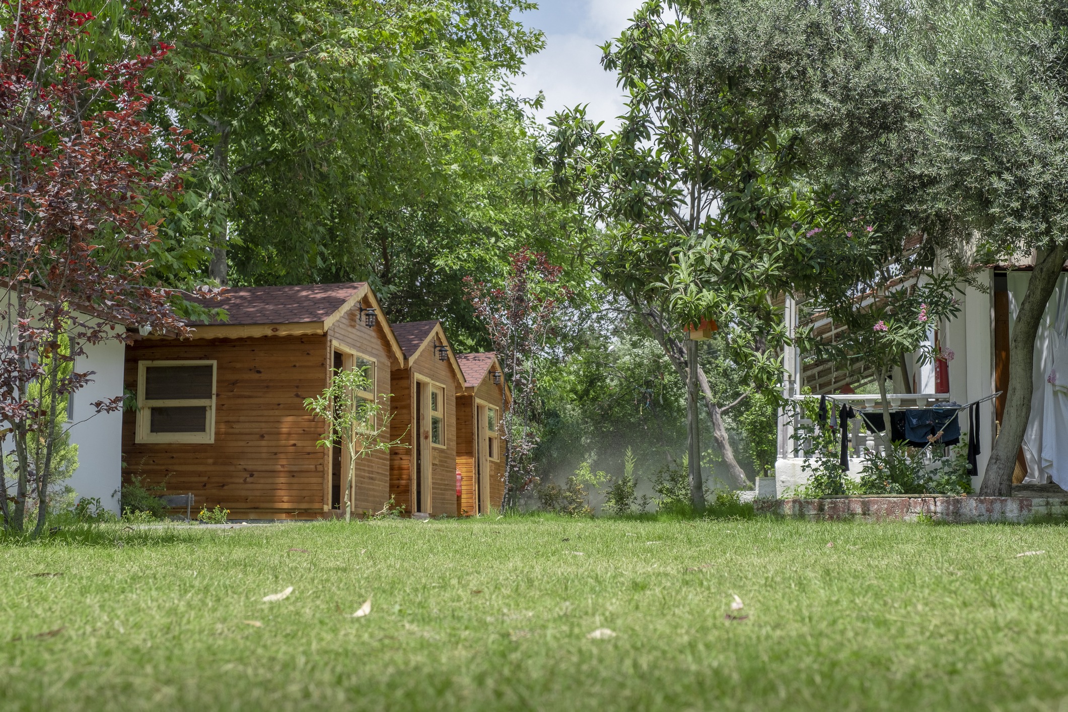 Small wooden cabins in lush green garden