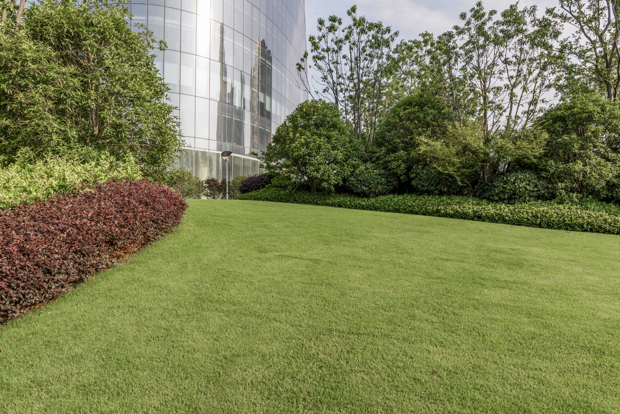 Manicured lawn beside modern glass office building