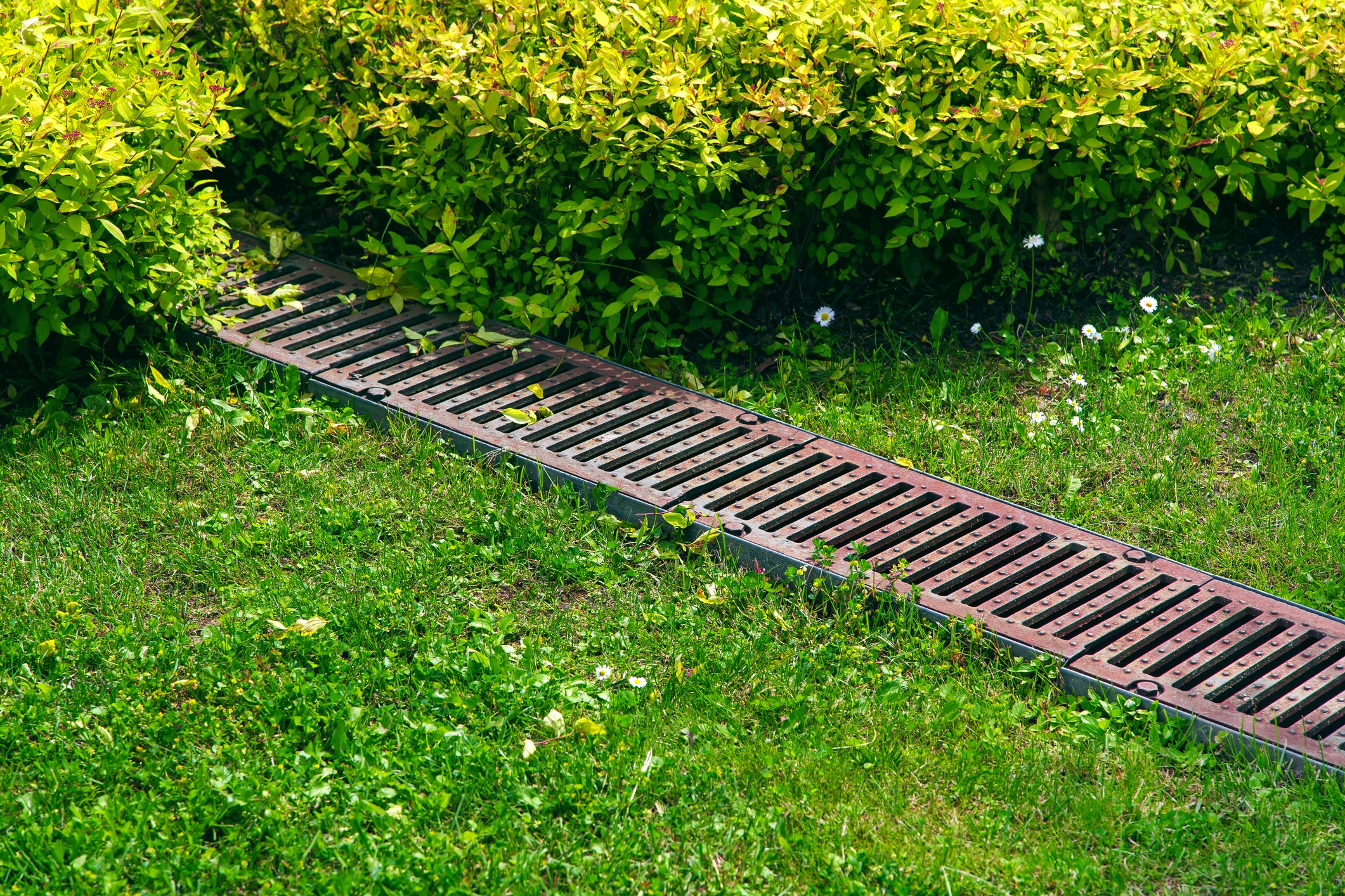 Metal drainage grate in grassy garden landscape