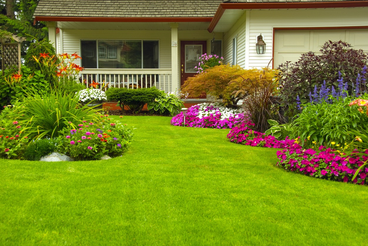 Colorful flower garden and lush lawn in front yard