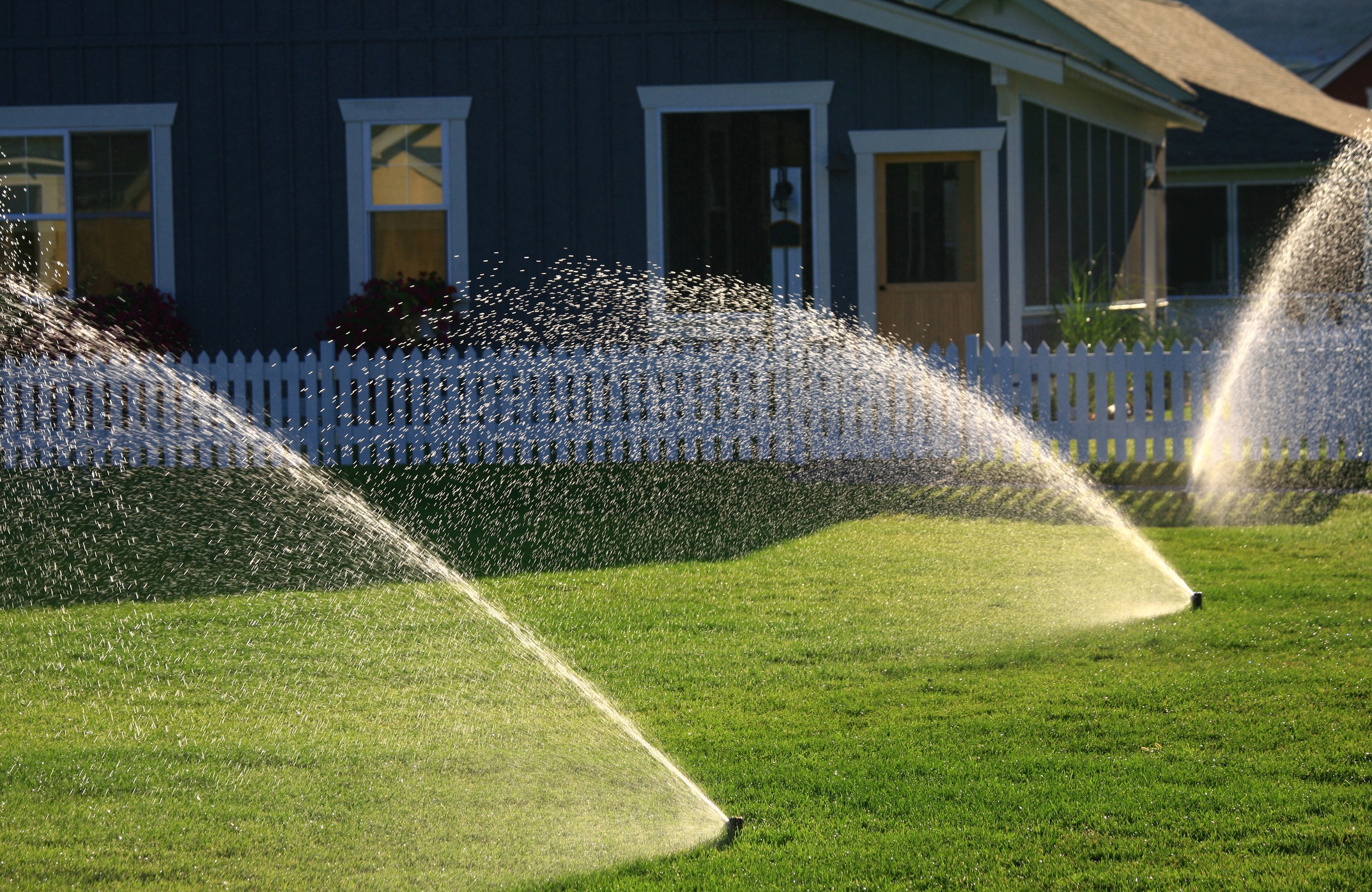 Lawn sprinklers watering green grass near house