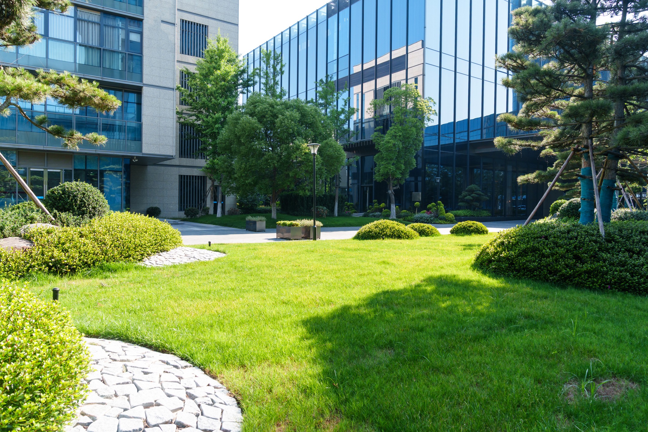 Modern office courtyard with green lawn and trees