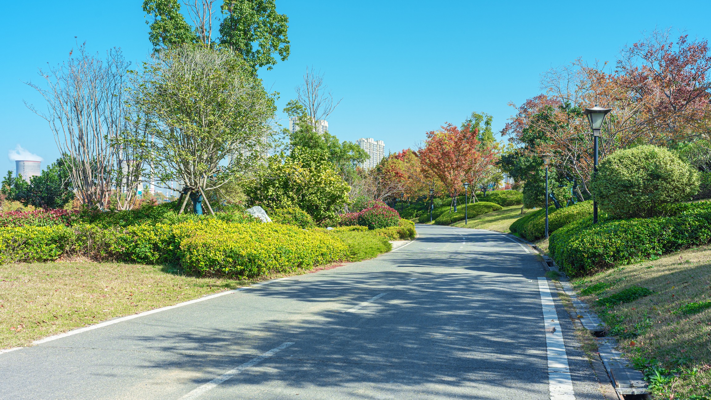 Curving park road lined with trees and lampposts