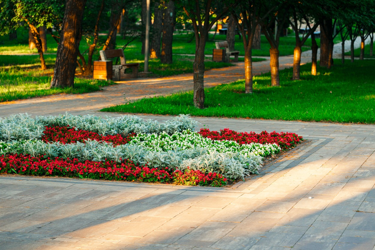 Colorful flower bed along sunny park pathway