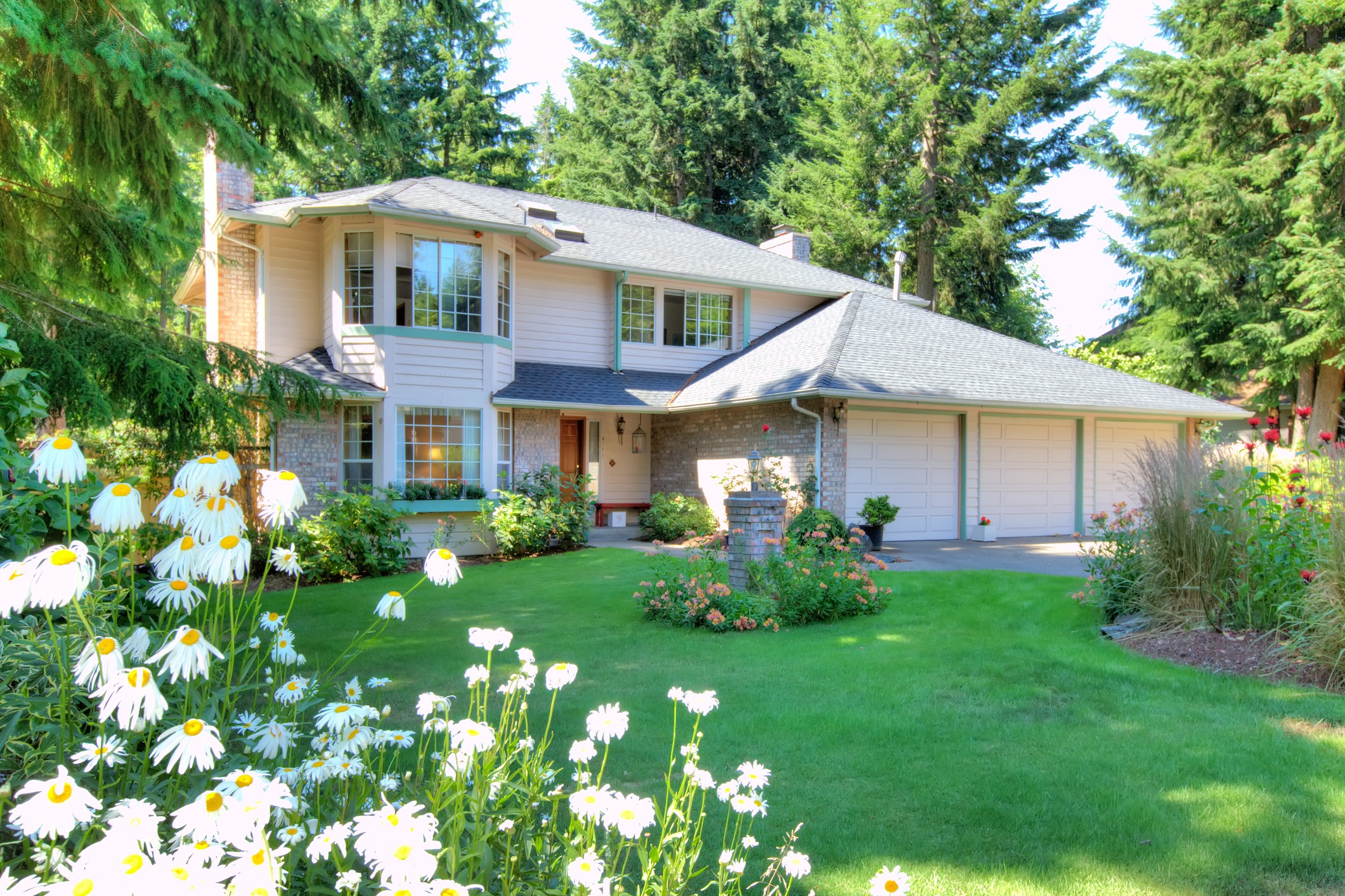Two-story suburban home with lush garden and daisies