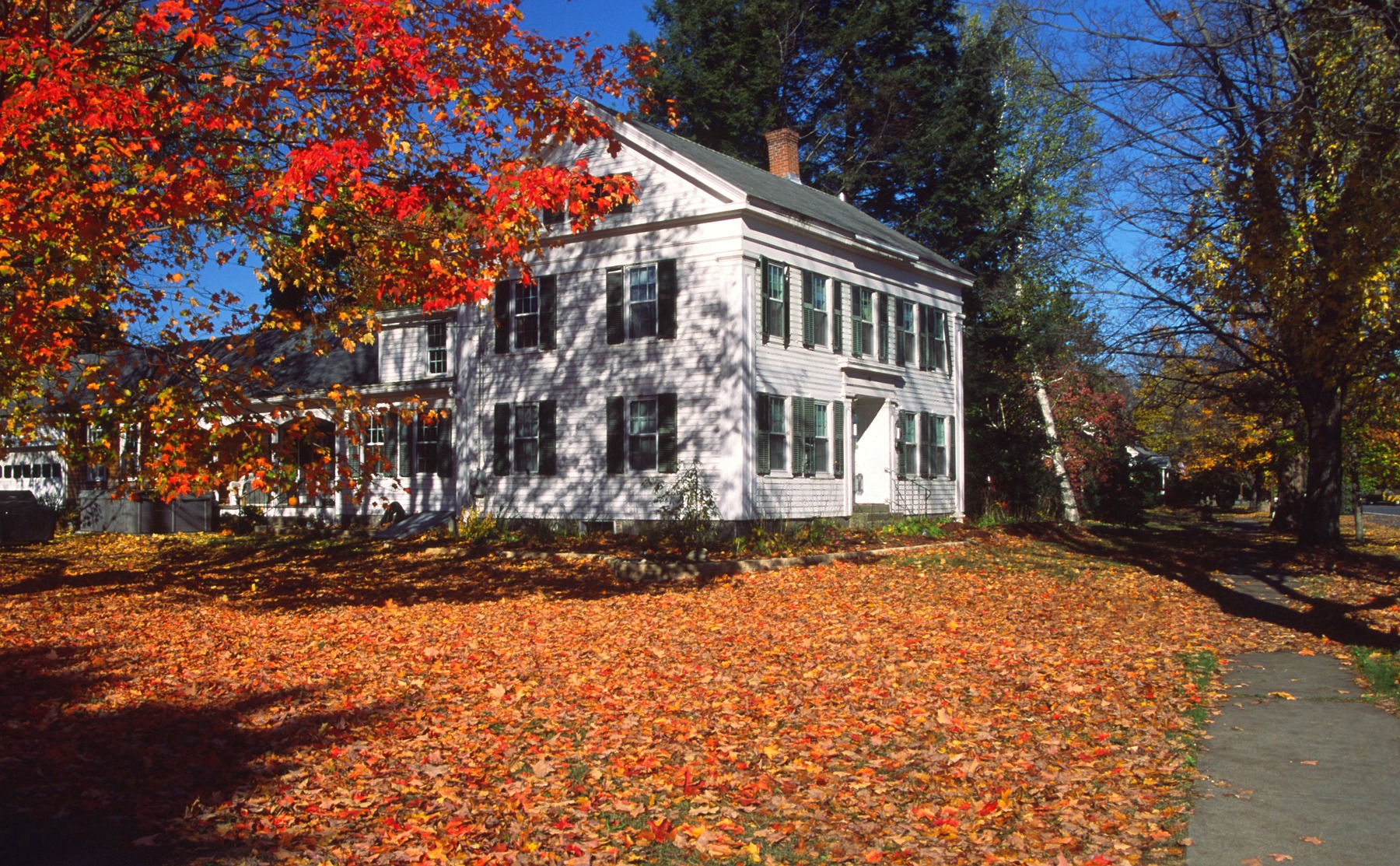 White colonial house surrounded by autumn foliage
